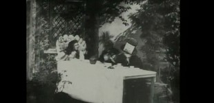 alice in wonderland